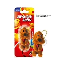 Areon Smile Asma Koku Ayıcık Strawberry