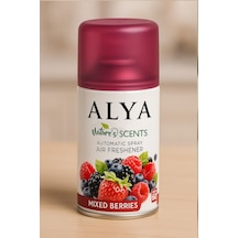 Nature's Scents Mixed Berries - Karışık Kırmızı Meyveler Oda Kokusu Yedek Makine Spreyi 250 Ml