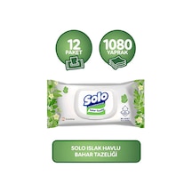 Solo Islak Havlu Bahar Tazeliği 1080 Yaprak Kapaklı