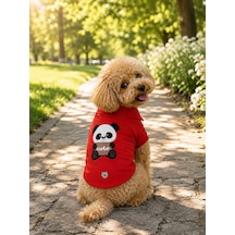Miniş Cute Panda Küçük Irk Köpek Pike Kumaş Polo T-shirt-21581
