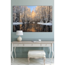 Çok Renkli