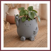 Storeşahin 3d Baskı Smiley Face Planter - Gülümseyen Karakterli Saksı-gri Shn0720