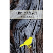 Ardıç Ağacı - Gülcan Çakır - Luna Yayınları