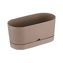 Polıwork Saksı Balkon Begonya 30 Cm Krem