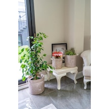 Kulplu Yuvarlak Düzenleyici Çok Amaçlı Kolay Taşınabilen Organizer Keçe Sepet Maxi 03655 Diğer