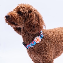 Mushroom Mantar Desenli Köpek Boyun Tasması Ayarlanabilir Köpek Tasması S Kırmızı
