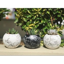 Yuvarlak Model Mermer Desenli Beton Saksı Saksılıkkaktüslükm