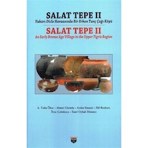 Salat Tepe Iı Yukarı Dicle Havzasında Bir Erken Tunç Çağı Köyü...