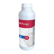 B-Forge (Stoller) 1L