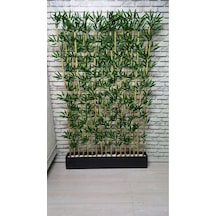 Bambu Speratör 220 Cm Boy 100 Cm Saksıda 15'li Yeşil