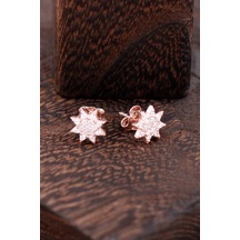 Yıldızlı Rose Gümüş Küpe 2379