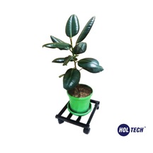 Metal Tasarım Tekerlekli Saksı Altlığı 30 Cm Taşınabilir
