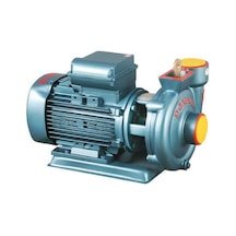 Domak Slg2 2hp Monoblok Monofaze Elektropomp