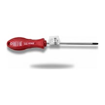 X Plus Torx Uçlu Tornavida T20x250