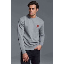 Anime Tail Logo Amplem Baskılı Gri Erkek Örme Sweatshirt