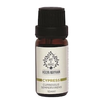 10 ML
