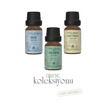 10 ML