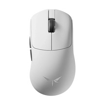 Y2 Master Plus