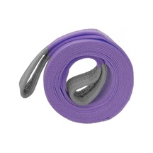 Lexroo Sapan Polyester Spanzet 1 Ton 1 Metre Mor Sağlam Yük Kaldırma Taşıma İndirme Halat