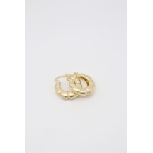 Vıp Küpe 14 K-17141 25mm Çok Renkli