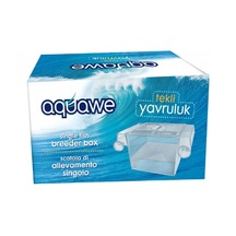 Akvaryum Tekli Yavruluk