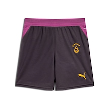 Puma Galatasaray 26/27 Genç Futbol Şortu 785024 05 Gri