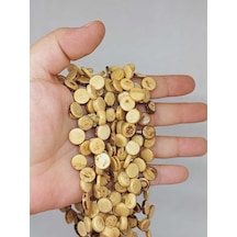 Yasamtohumu Hindistan Cevizi Kabuğu Ahşap Dizi Yassı Kesim 3 10mm 53054 Çok Renkli