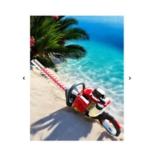 Rapco Garden Çit Budama Testeresi Benzinli 55 Cm Mega Tarım Rapco Garden Çit Budama Testeresi Benzinli 55 Cm Mega Tarım