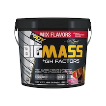 Bigjoy Sports Bigjoy Sports Bıgmass Gainer Gh Factors Mıx 5Kg Bigjoy