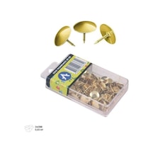 Ark Gold Raptiye Altın Sarısı Raptiye 30 Gr Şeffaf Kutulu 2 Adet