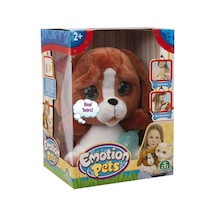 Emotion Pets Evcil Hayvanlar Kızıl Köpecik