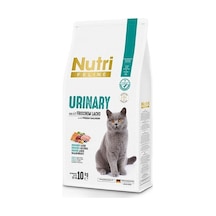 Adult Urinary Idrar Sağlığı Somonlu Yetişkin Kedi Maması 10 Kg