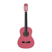 Aria Fiesta Fst200Pk Klasik Gitar