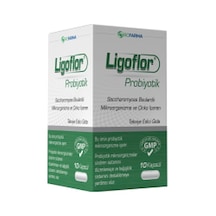 Ligoflor Probiyotik 10 Kaps