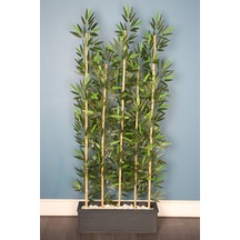 Yapay Çiçek Deposu Kumaş Yapraklı 5 Çubuklu Ahşap Saksıda Bambu Seperatör 20x70x180cm