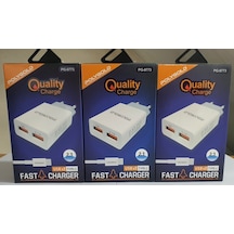 POLYGOLD PG-8773 ÇİFT USB 2,1 A. TYPCE Set Şarjı