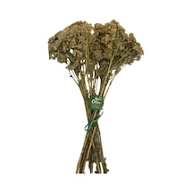 Beyaz Civanperçemi 75 Gr