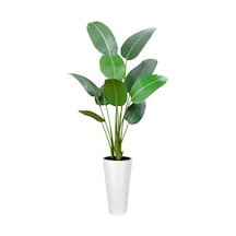 Yapay Ağacı Beyaz 57cm Uzun Kumsal Vazoda Muz Ağacı Yapay Starliçe 195cm 10 Yaprak