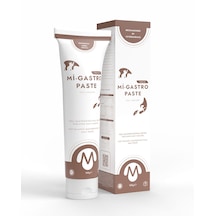 Miniklisi Mi-gastro Paste Mide Bağırsak Malt Macunu 100 G