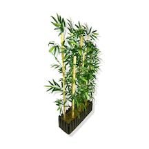 Cihan Çiçekçilik Bambu Seperatör 7 Adet Bambu Yoğun Yaprak 120 Cm 54x20x120 Beyaz- Yeşil