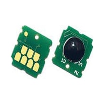 Epson T04d1 M2170 Uyumlu Atık Kutusu Çhip Siyah