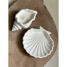 Bernami Mum Pinterest Deniz Kabuğu Ve Istiridye Set Beyaz Dekoratif Tabak/takı Organizeri Mumluk Diğer