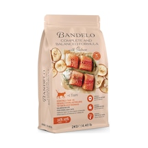 Tr Kısırlaştırılmış Somonlu Yetişkin Kuru Kedi Maması 2 Kg - Vitamin İlaveli Tam Ve Dengeli Kilo Kontrolü, Y