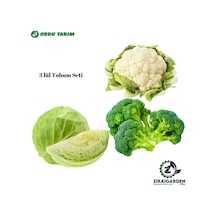 Agrokar Brokoli Tohumu 5gr-agrokar Karnabahar Tohumu 5 Gr-bursa Tohum Bt Bafra Beyaz Lahana 25gr