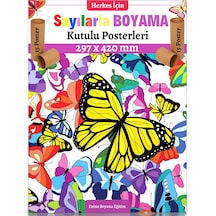 Sayılarla Boyama Posterleri (Kutulu 15 POSTER)