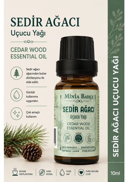 10 ML