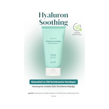 Gözenekleri Temizleyen Köpük Goodal Houttuynia Cordata Hyaluron Soothing Pore Cleansing Foam