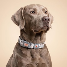 Gobypet Desenli Köpek Boyun Tasması 25 Mm, Ayarlanabilir 39-55 Cm, Güçlendirilmiş Emniyet Kilitli Toka, Paslanmaz Metal D Halka, Dayanıklı Kumaş, Günlük Kullanım, Yürüyüş Ve Eğitim İçin Çok Renkli
