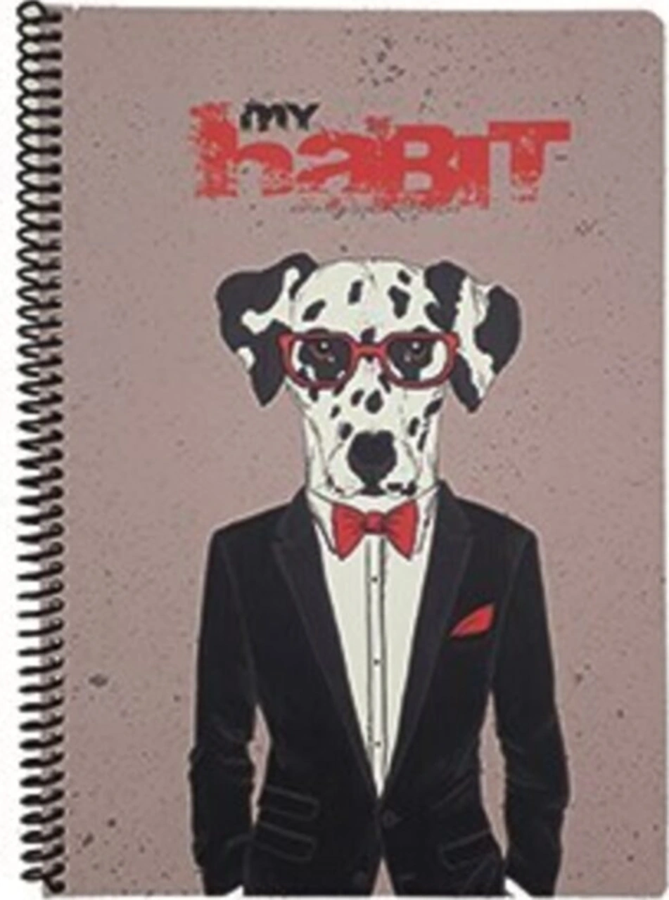 My Habıt 80yp Çizgili Defter Model 1 Karışık