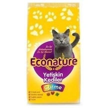 Econature Gurme Yetişkin Kedi Maması 1 KG